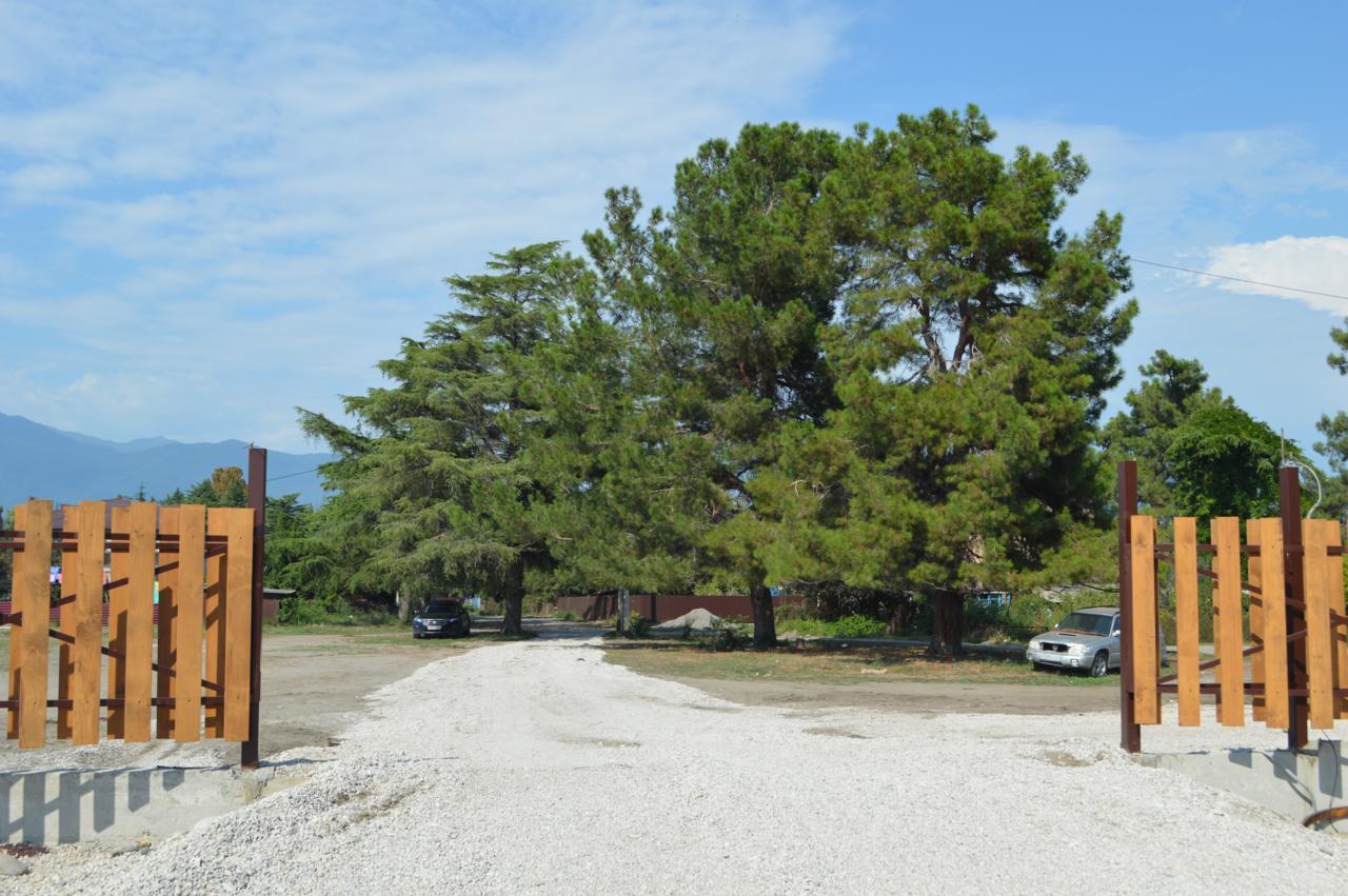 Al Mare Hotel Pizunda Exterior photo